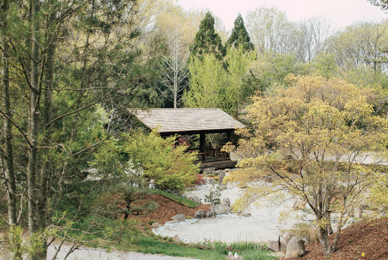 Coming Soon to Cheekwood